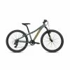 Coluer Ascent 241 MTB Bike Matte Green