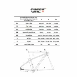 Conor WRC Conor - WRC Borneo 29" Electric Bike Blue Grey -Bikes Shop conor berlin st v1