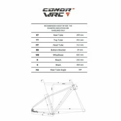 Conor WRC Conor Children's Bike - WRC Ray 14" Greenish -Bikes Shop conor infantil ray14 st v2 1