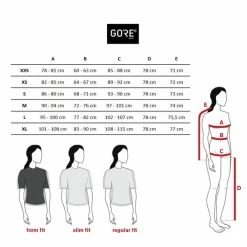 Gore Wear GOREWEAR Distance+ 2.0 Bib Shorts Forest Green White Women 7 Gore Wear GOREWEAR Distance+ 2.0 Bib Shorts Forest Green White Women -Bikes Shop gow w cl form fit st v5 1