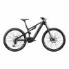Whistle B-Rush Carbon C4,2 LT Electric Bike Grey Black