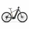 Whistle B-Race A6.2 Electric Bike Grey