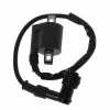 Unbranded 12v Motorcycle Ignition Coil For 150cc 200cc 250cc Atv Moped Go Karts Dirt Bike