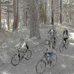 Luluzhu 1 Pcs Kids Tow Bike Rope, Bicycle Towing Rope For Kidsbike Bungee -Bikes Shop 753790037 max